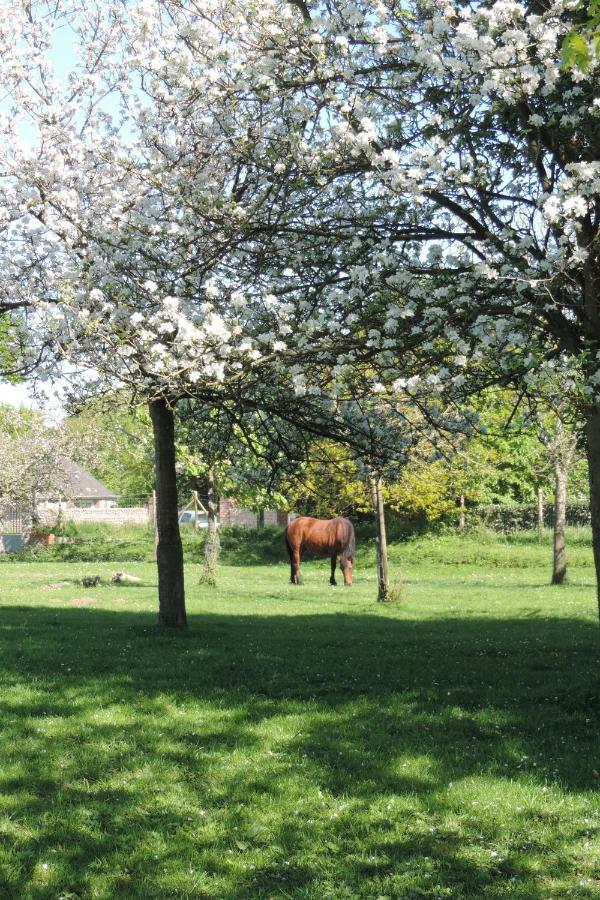 Belval Cottages Benouville  Esterno foto